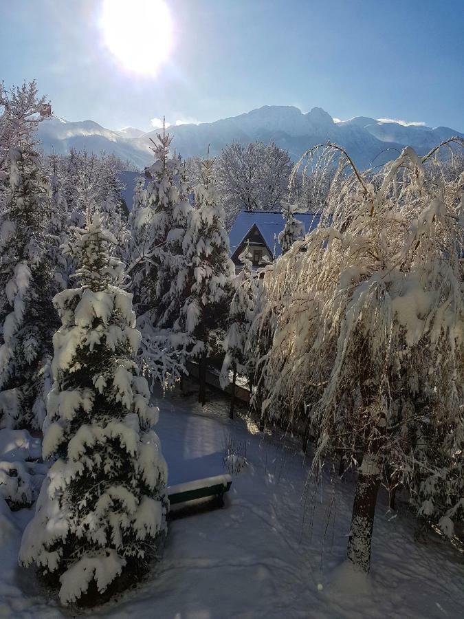 Mountain View Apartment ซาโกปาเน ภายนอก รูปภาพ